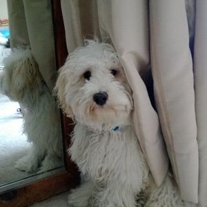Meet your Posher, Carol